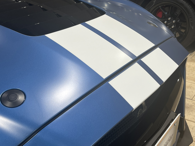 SHELBY GT500 プロテクションフィルム